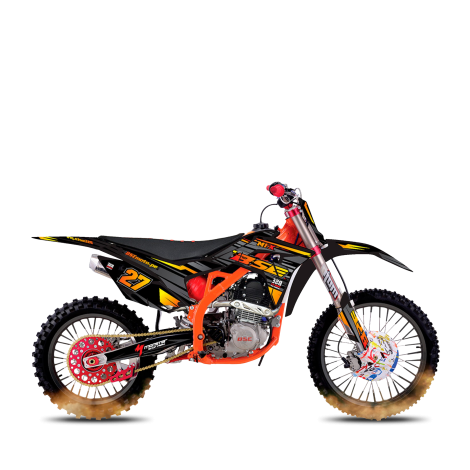 BOSUER BSE 250
